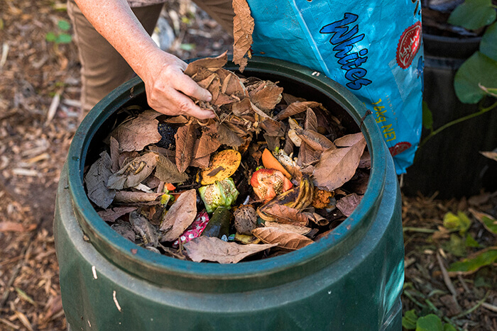 brown leaves in an open compost bin