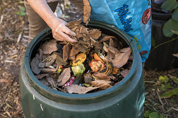 close up of contents of a compost bin