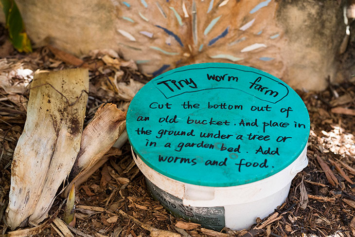 Old tub filled with soil and food scraps