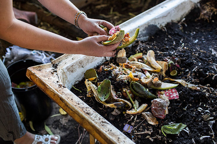 Old tub filled with soil and food scraps