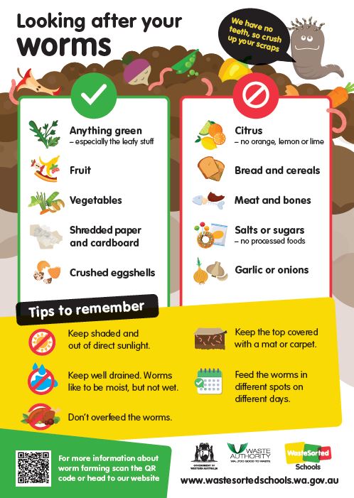 Looking after your worms A3 Poster